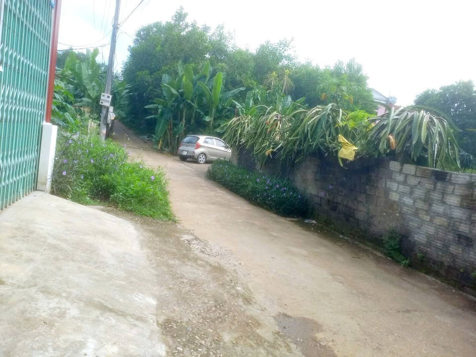 Đất thổ cư An Tường Tuyên Quang 100m² giá chỉ 7xx triệu - Sổ đỏ chính chủ, vị trí đẹp!