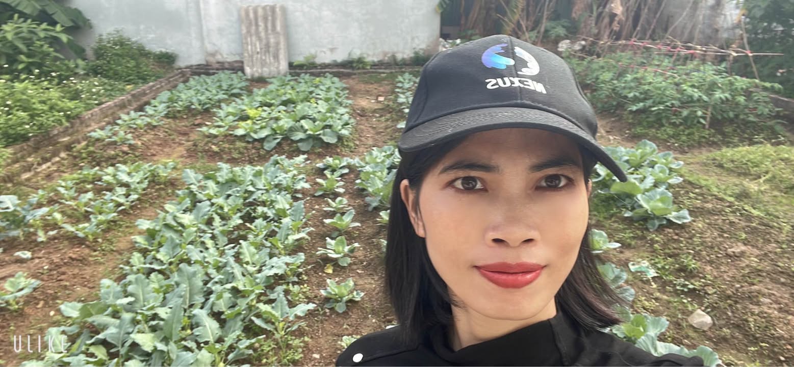 Đất nền Mai Đình - Sóc Sơn 108m² giá thỏa thuận - Đầu tư sinh lời ngay!