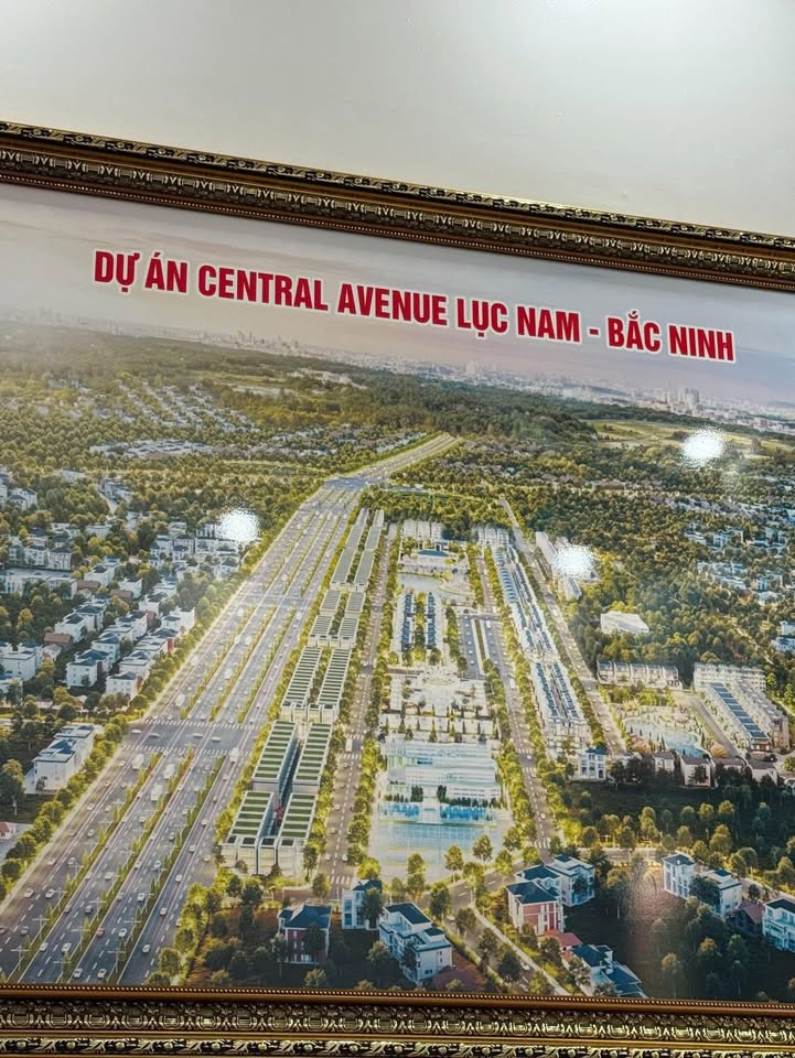 Đất nền dự án Lan Mẫu, huyện Lục Nam, diện tích từ 90m² - Giá tốt đầu tư!