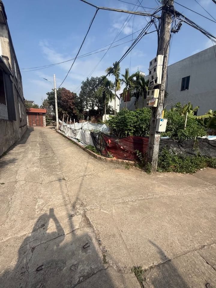 Đất lô góc Hoàng Kim Mê Linh 86,6m² giá nhỉnh 4 tỷ - Kinh doanh thuận lợi!