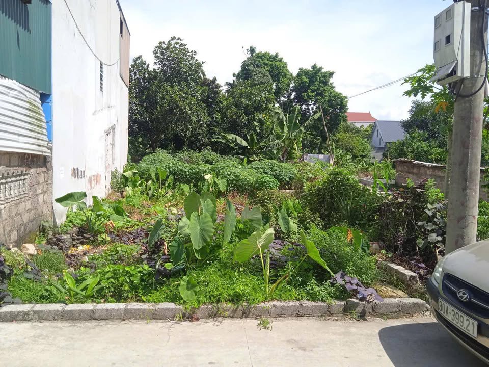 Đất nền Xuân Mai, Chương Mỹ 71.8m² giá 2.5 tỷ - Sổ đỏ chính chủ