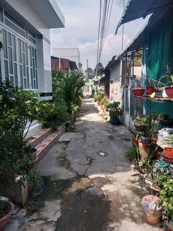 Nhà cho thuê tại Long Phước, Vĩnh Long 2 phòng ngủ - Giá 2.5 triệu/tháng, sẵn sàng vào ở!