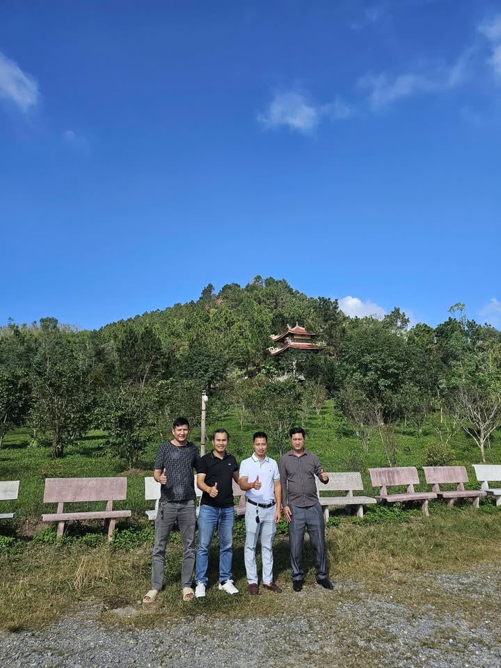 Đất nền Quỳnh Hồng, Quỳnh Lưu 258m² - Vị trí hiếm, giá rẻ!