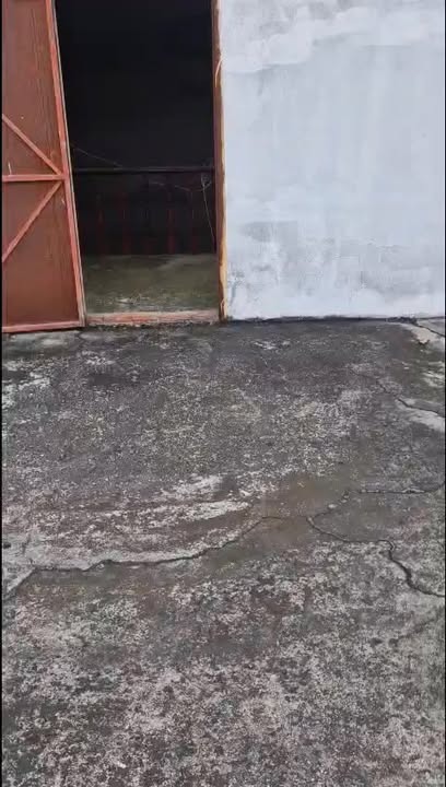 Nhà 1 trệt 1 lầu xã Mỹ Yên, Bến Lức 253m² giá 2.6 tỷ - Chủ cần bán gấp!