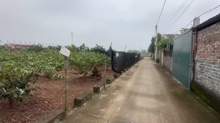 Đất vườn 139m² tại Năm Trại, Quốc Oai - Gần khu dân cư, giá chỉ 800 triệu!