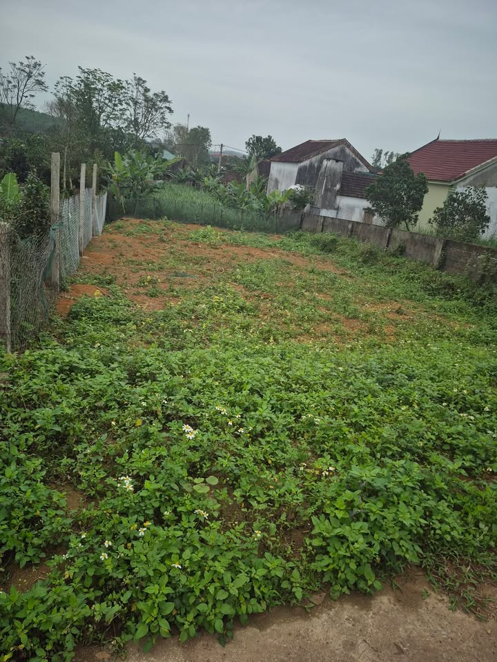 Đất thổ cư tại Nam Nghĩa, Nam Đàn 2000m² - Giá thỏa thuận hấp dẫn!