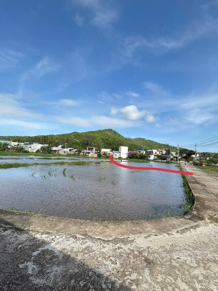 Đất lúa 1000m² tại Phước Hiệp, An Nhơn - Giá 400 triệu, 2 mặt tiền giao thông thuận lợi!