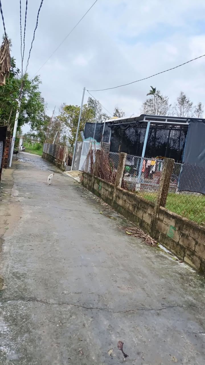 Đất nền Nhơn Tân, An Nhơn 100m² giá thỏa thuận - Khu dân cư đông đúc, ô tô vào tận nơi!