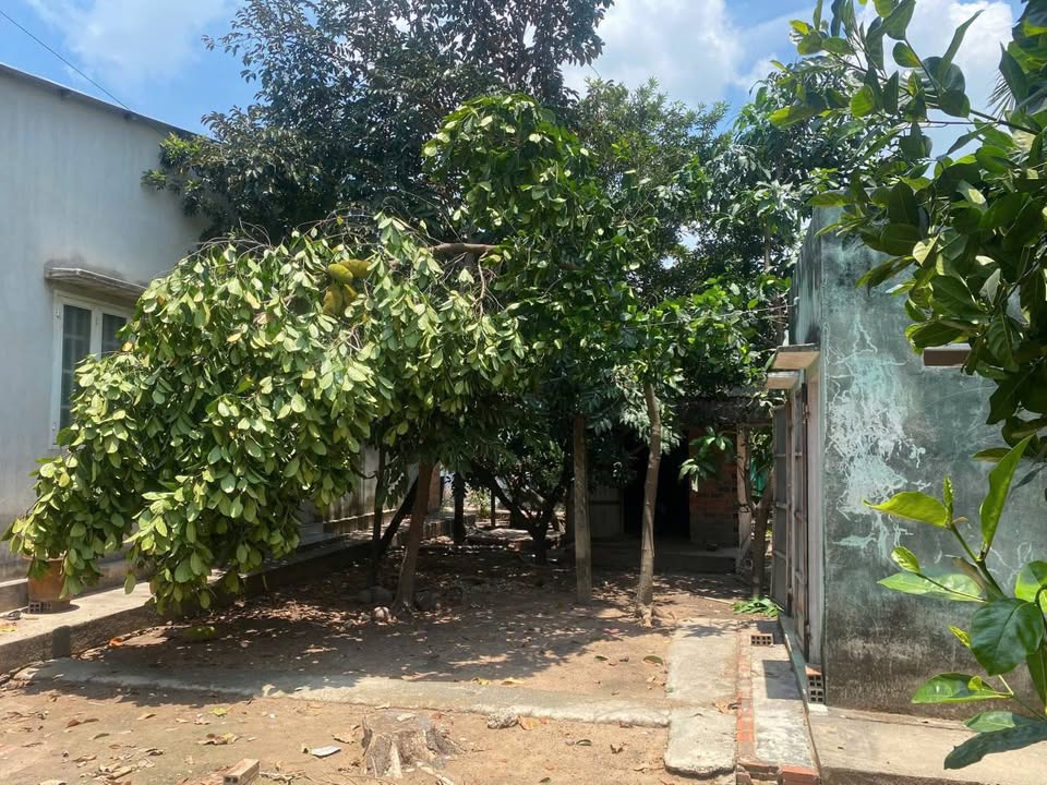 Nhà ấp Trường Giang, xã Trường Tây, 530m² - Nhà mới, hai mặt tiền đẹp!