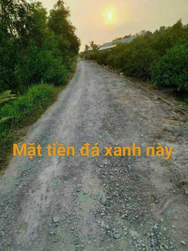 Đất vườn 15000m² tại Lương Hòa, Bến Lức chỉ 1,2 tỷ - Đầu tư sinh lời lý tưởng!