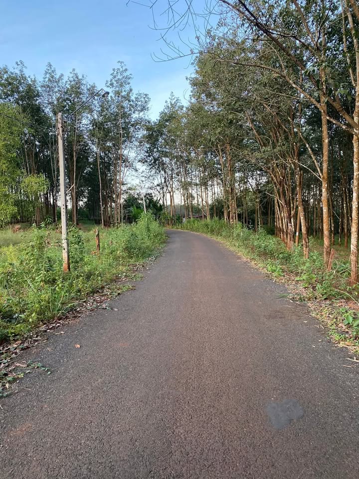 Đất nền Lộc Thuận Lộc Ninh 10.235m² giá chỉ 220 triệu - Sổ đỏ chính chủ sẵn sàng giao dịch!