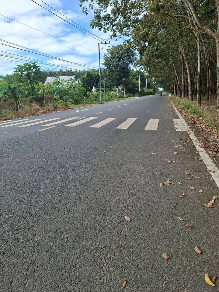 Đất nền mặt tiền đường Cao Bá Quát, Chơn Thành 354m² giá 1 tỷ - Cơ hội đầu tư hấp dẫn!