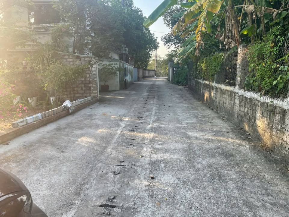 Lô đất góc Phường Tùng Thiện, 148.5m² giá 2 tỷ - Tiềm năng đầu tư lớn!