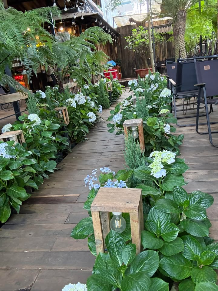 Bán gấp nhà mặt tiền Quốc lộ 29, Ea Kar, Đắk Lắk - Diện tích 900m², giá 4 tỷ!