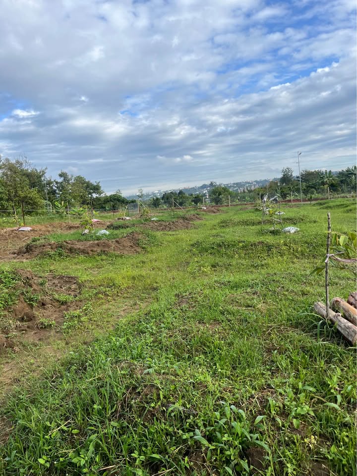 Đất nền B'lao, Bảo Lộc 1036.8m² - View thành phố, pháp lý rõ ràng!