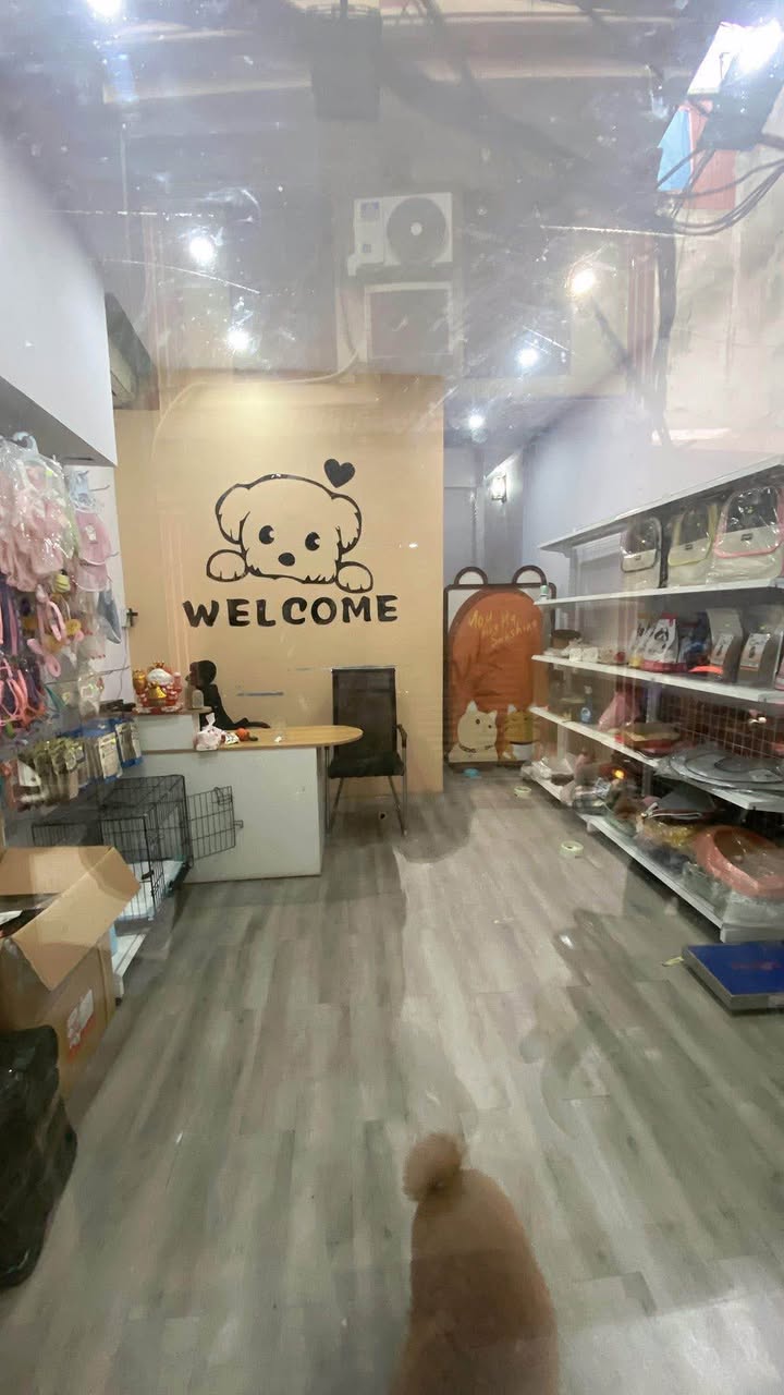 Bán nhà ngõ 184 Trần Khát Chân 33m² giá 9.3 tỷ - Thiết kế hoàn hảo, kinh doanh đắc địa!