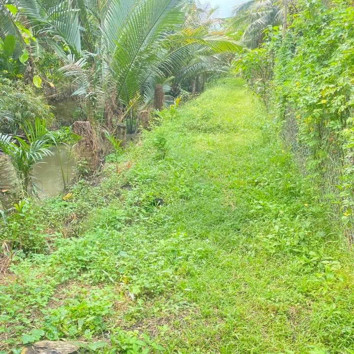 Đất nền mặt tiền đường tỉnh 901, xã Vĩnh Xuân, 1260m² giá 1 tỷ - Cơ hội đầu tư tuyệt vời!