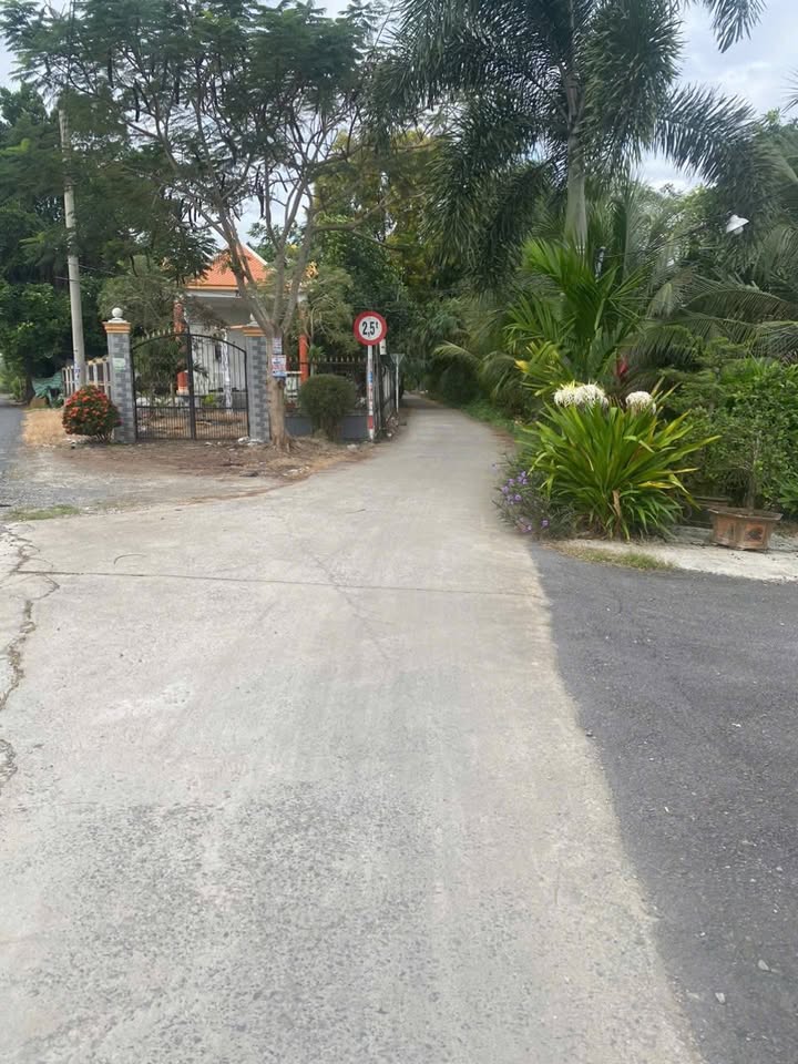 Đất nền Thạnh Đức, Bến Lức 1233m² giá 2.75 tỷ - Mặt tiền ô tô, gần Happyland!