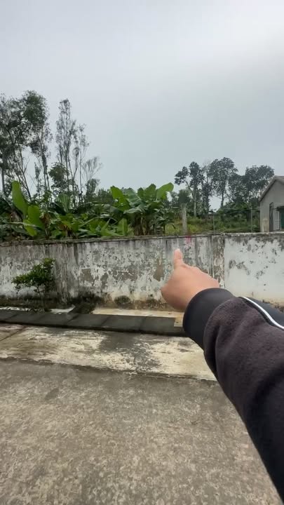 Đất nền xã Nam Nghĩa, huyện Nam Đàn 251,5m² - Khu dân cư sầm uất, giá thỏa thuận!