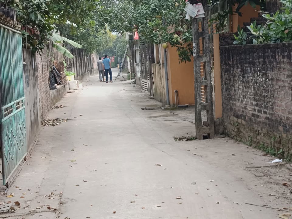 Đất thổ cư 80m² Tráng Việt Mê Linh - Giá tốt, sổ hồng chính chủ!