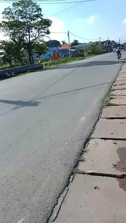 Nhà bán Đức Hòa Thượng, Long An 300m² giá 4.9 tỷ - Kinh doanh sầm uất!