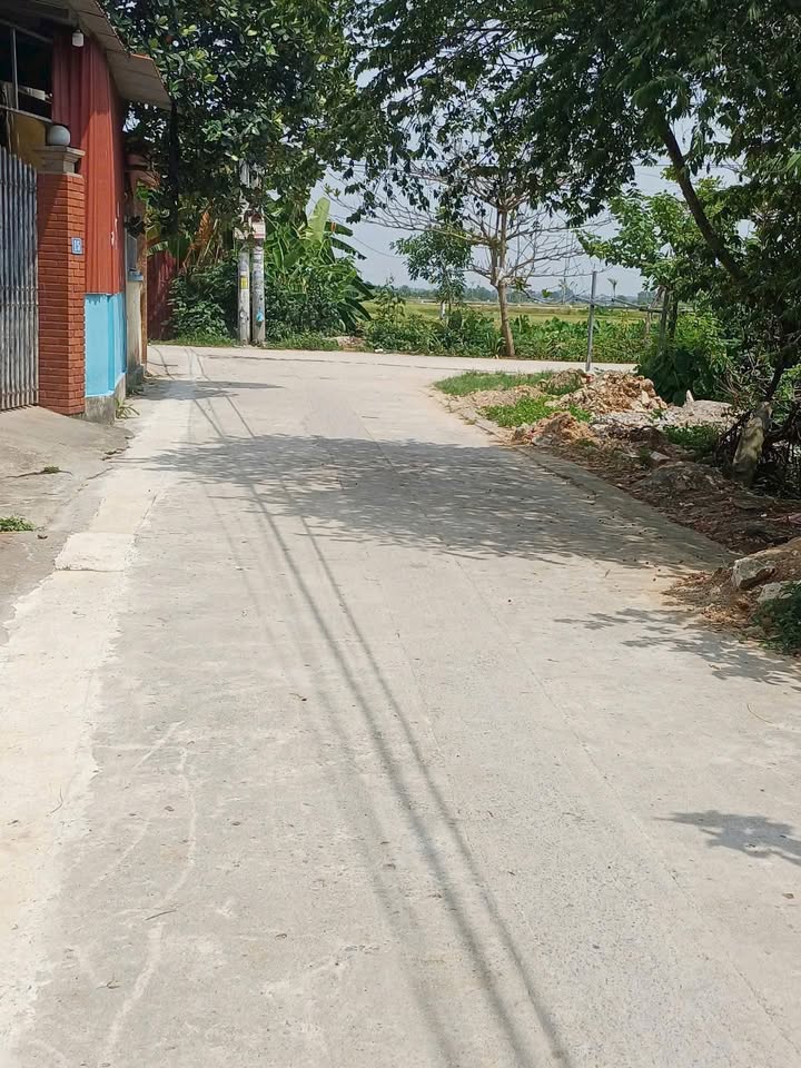 Đất nền Tam Hưng Thanh Oai 80m² giá thỏa thuận - Ngõ rộng ô tô tránh nhau!