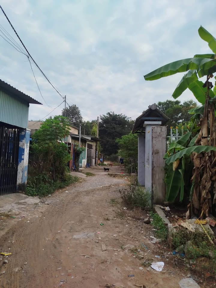 Đất nền Tân Hiệp, TP Tân Uyên 100m² giá 1.25 tỷ - Đầu tư sinh lời ngay!