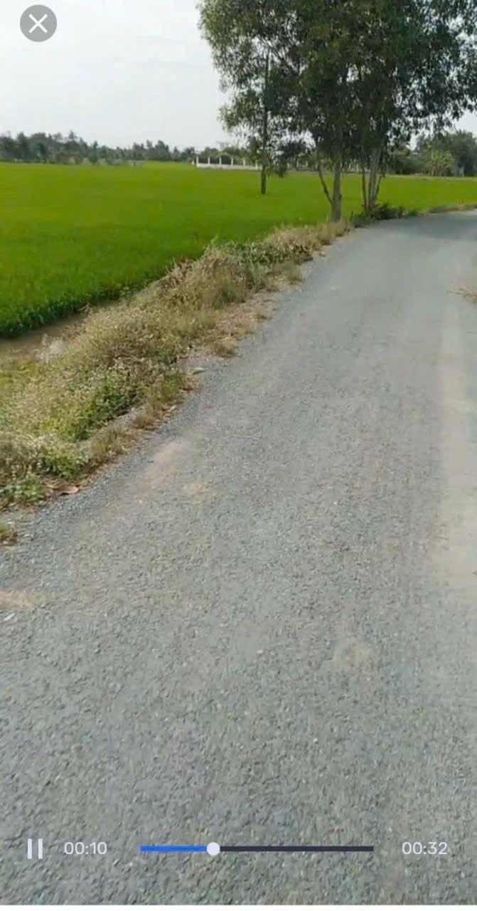 Đất nền An Hòa Thủ Thừa Long An 1000m² giá 500 triệu - Cơ hội đầu tư hấp dẫn!