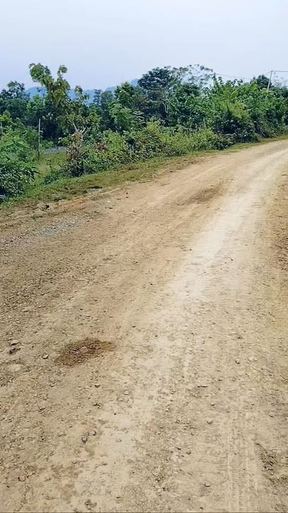 Đất nền 5500m² tại Phú Vinh, Tân Lạc - Giá chỉ 2,5 tỷ, cơ hội đầu tư tuyệt vời!