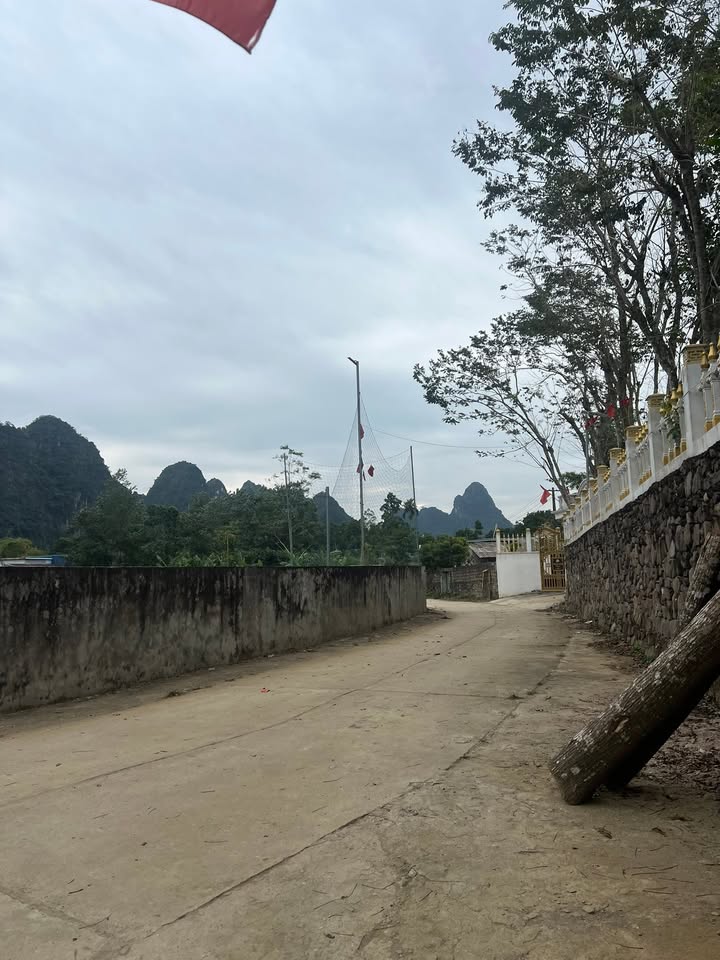 Đất nền tại thôn Yên Lịch, xã Cao Dương, Hòa Bình - Diện tích 154m² chỉ từ 100 triệu!