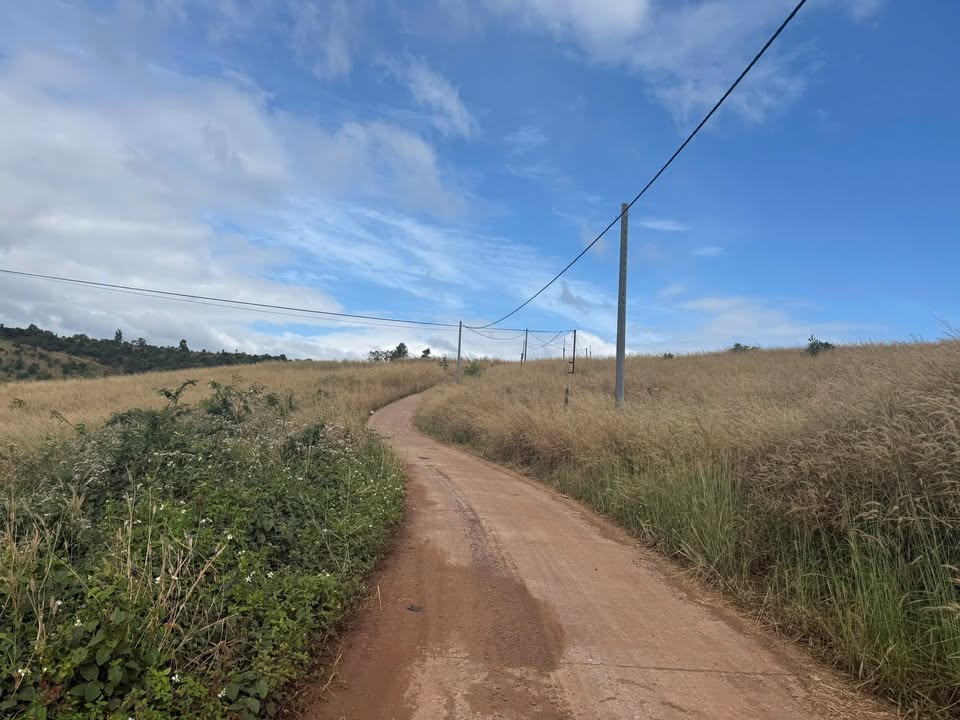 Đất trống 90.000m² tại Ea Sin, Krông Búk - Giá chỉ 12.5 tỷ, pháp lý rõ ràng!