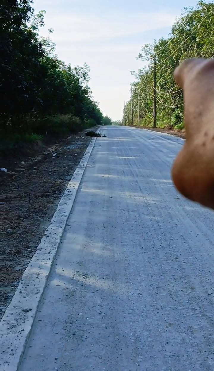 Đất nền Bằng Lăng Glamping 24m² giá rẻ bất ngờ - Cơ hội đầu tư tuyệt vời!