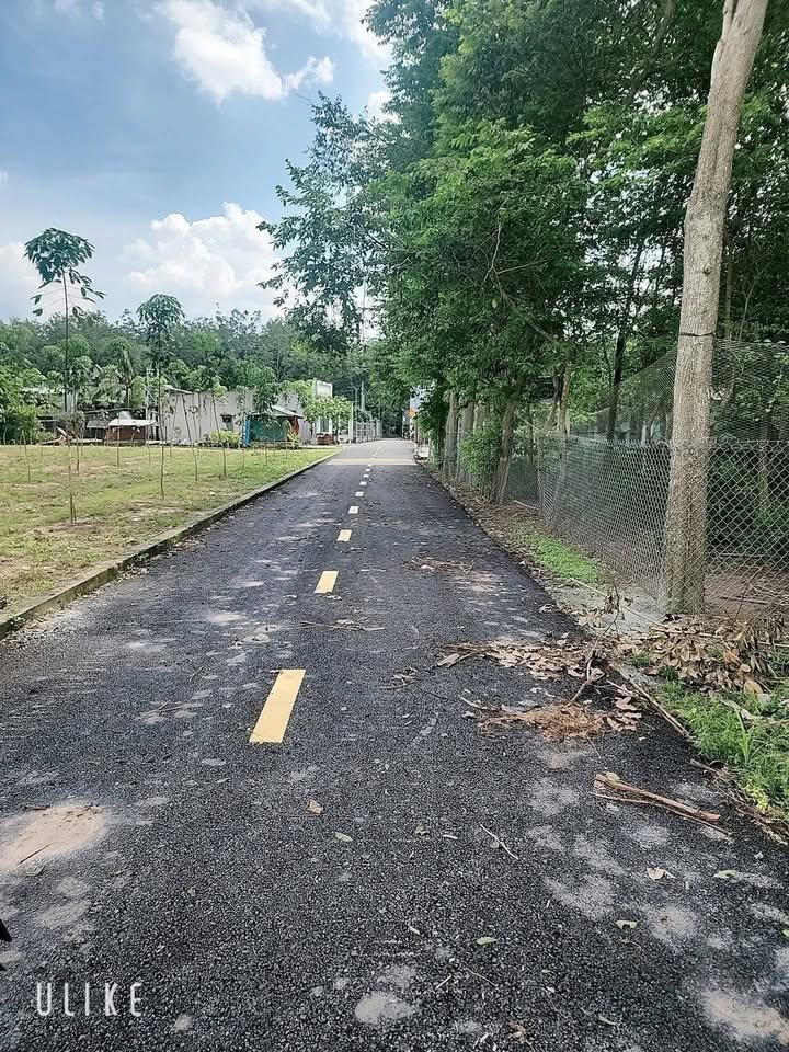 Đất nền Phú Giáo, Bình Dương 4000m² giá 2.4 tỷ - Cơ hội đầu tư hấp dẫn!