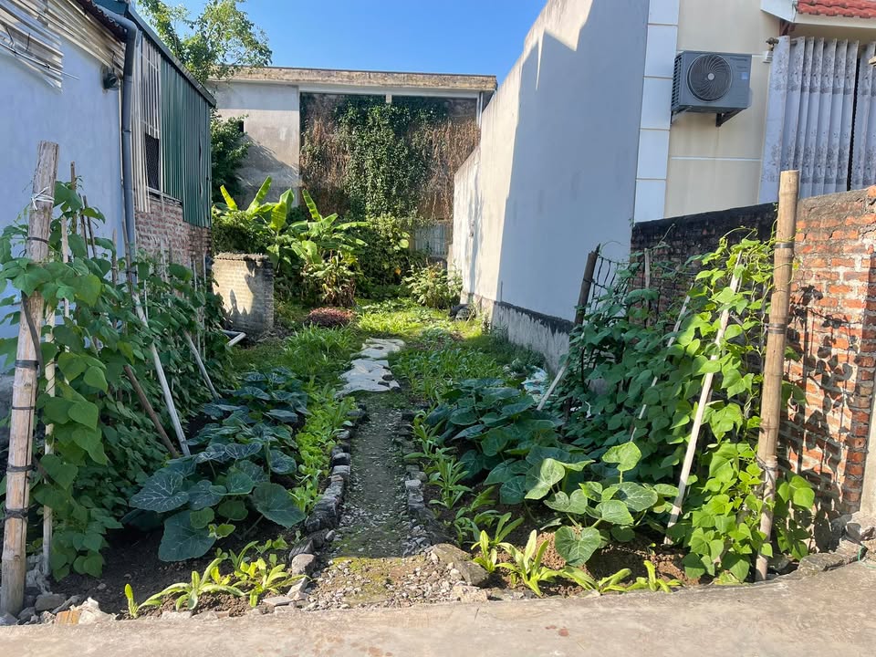 Đất nền Thị trấn Thanh Hà 121m² giá 1.2 tỷ - Đường ô tô vào tận đất!