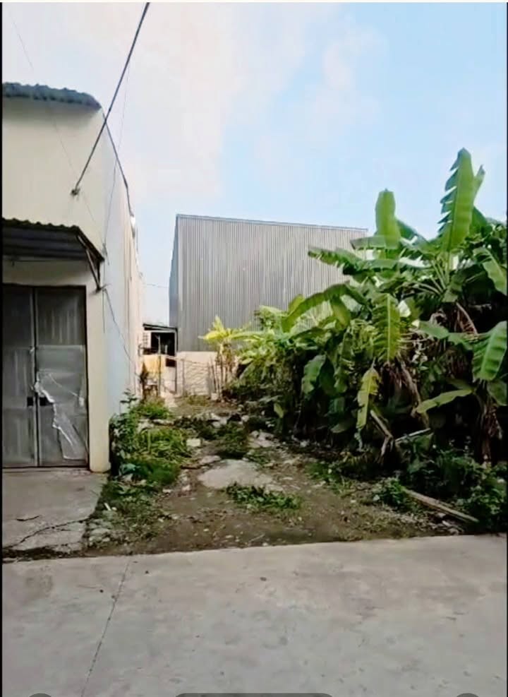 Đất dịch vụ Lai Yên Hoài Đức 50m² - Đầu tư sinh lời ngay hôm nay!