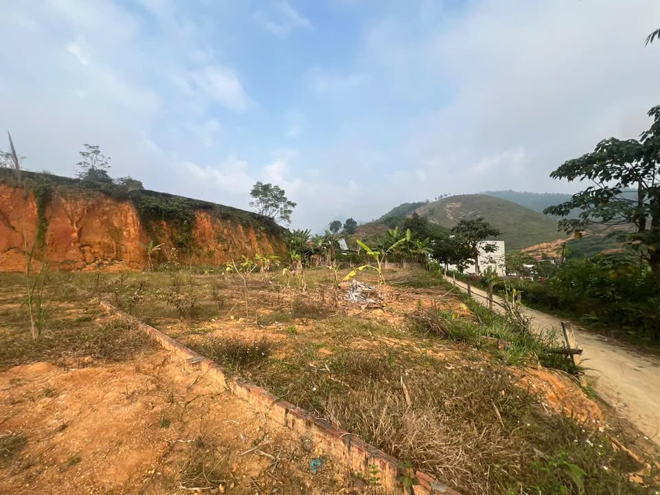 Đất nền Tân Sơn 144.5m² giá 3 tỷ - Cơ hội đầu tư tuyệt vời!