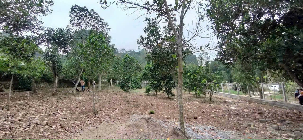 Đất lô góc Mông Hóa Kỳ Sơn 1642m² giá 6.8 tỷ - Cơ hội đầu tư tuyệt vời!