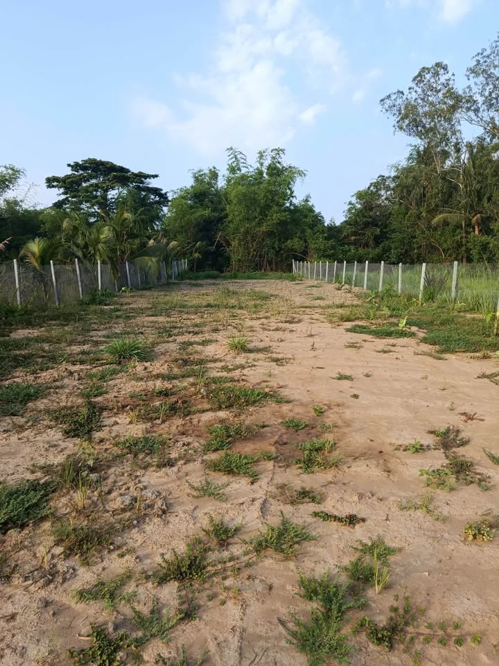 Đất nền Tiểu Cần Trà Vinh 1077m² giá 1.1 tỷ - Cơ hội đầu tư sinh lời!