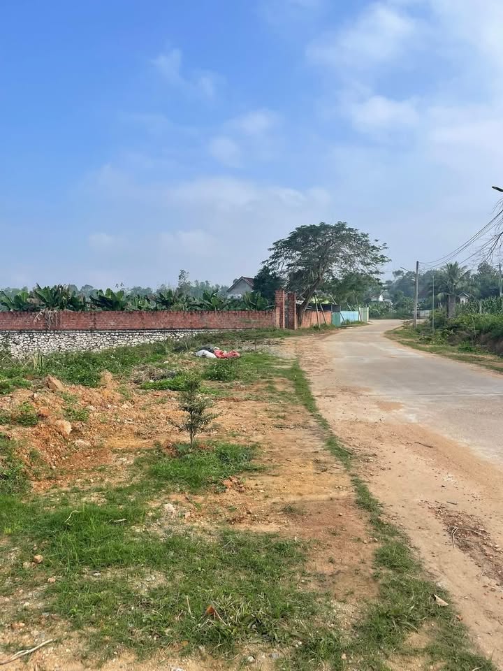 Đất Nghĩa Long - Nghĩa Đàn 262m² giá 500 triệu - Vị trí vàng, đầu tư sinh lời!