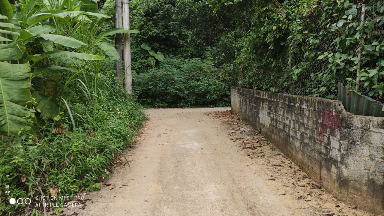 Đất Lô Góc 200m² Bắc Lệnh Lào Cai giá 1.255 tỷ - Xây nhà vườn lý tưởng!