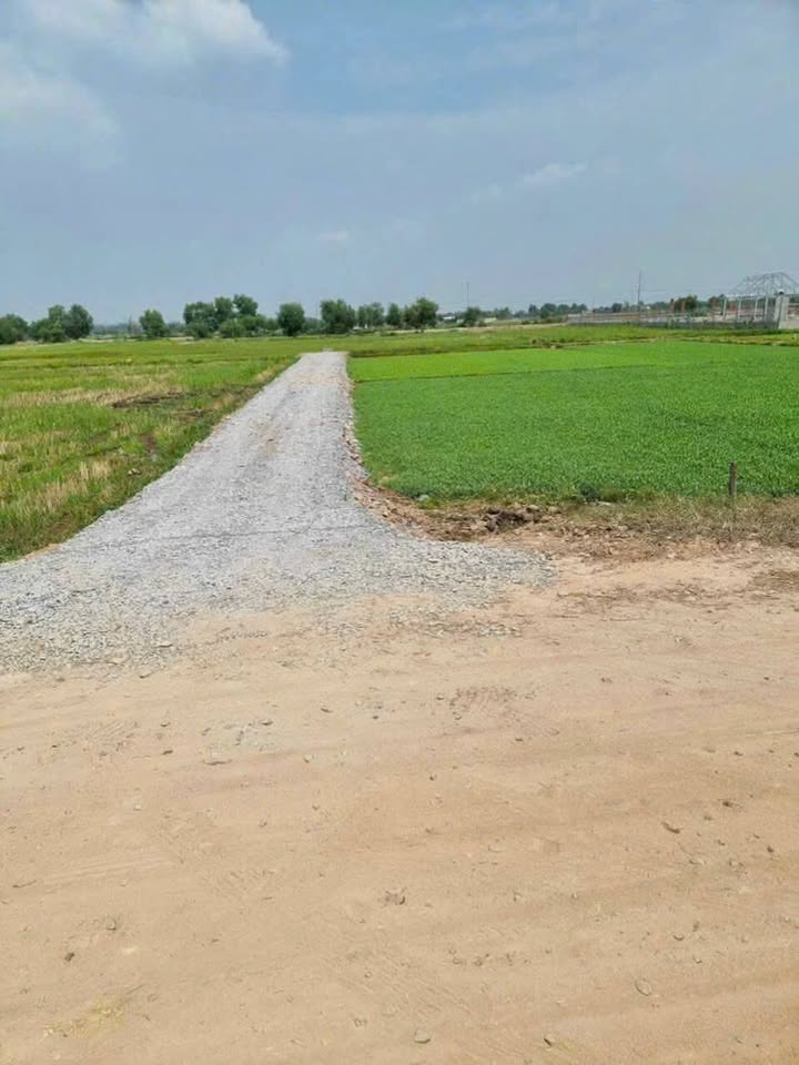 Đất vườn Trung An Củ Chi 569m² giá 900 triệu - Đường xe hơi vào tận nơi!