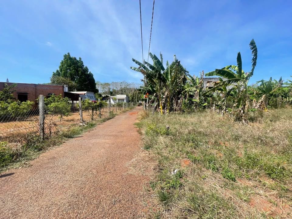 Đất nền ấp 1, xã Hòa Hội, huyện Xuyên Mộc, 1000m² - Thích hợp làm nhà vườn!