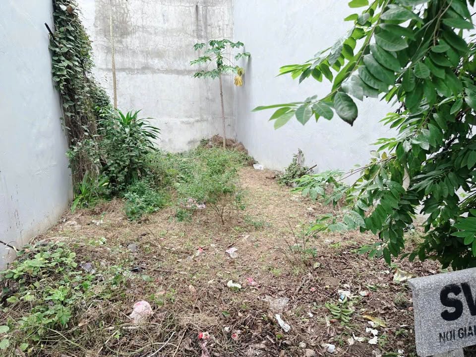 Đất MB199 Đông Hải 65m² giá 3.65 tỷ - Vị trí đẹp, thuận tiện kinh doanh!