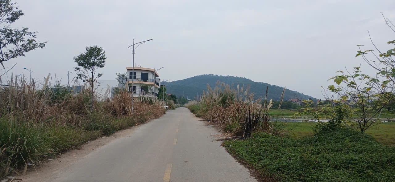 Đất nền Rừng Thông, Đông Sơn 110m² giá 3.3 tỷ - Gần chợ đầu mối Minh Tuấn!