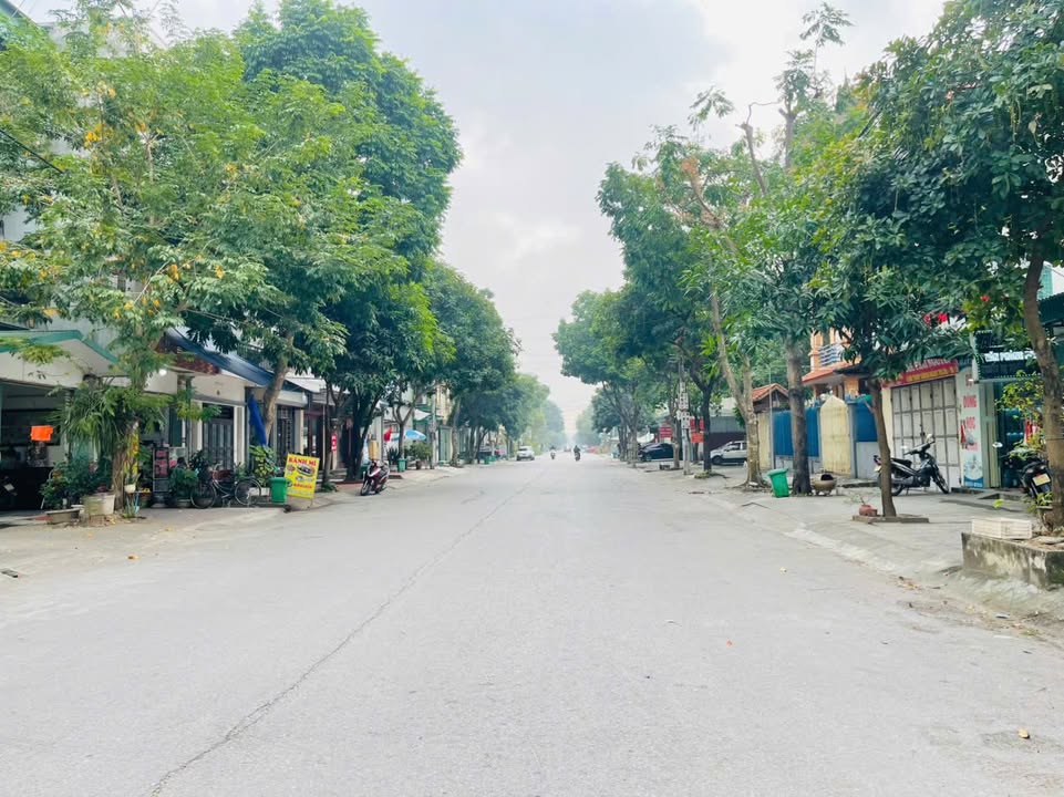 Đất Mặt Đường Bích Đào Ninh Bình 100m² giá 5 tỷ - Vị trí kinh doanh đẳng cấp!