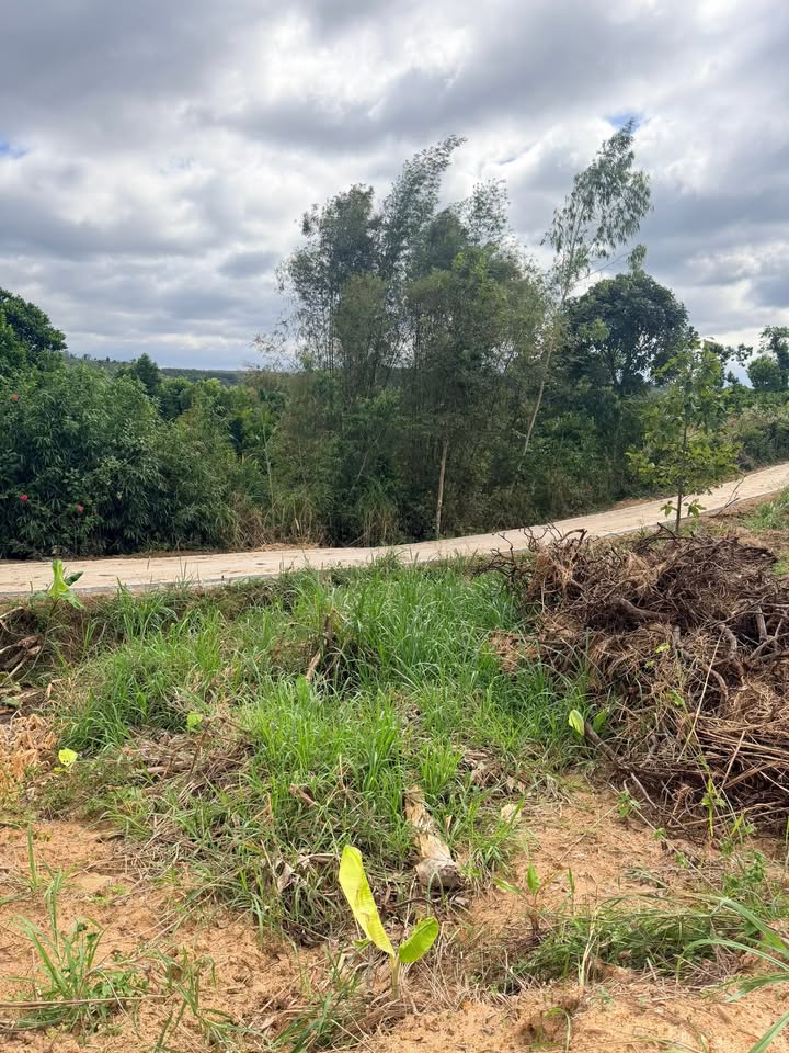 Lô rẫy 2.6ha tại Ea Khal, Đắk Lắk giá 4.5 tỷ - Cơ hội đầu tư hấp dẫn!