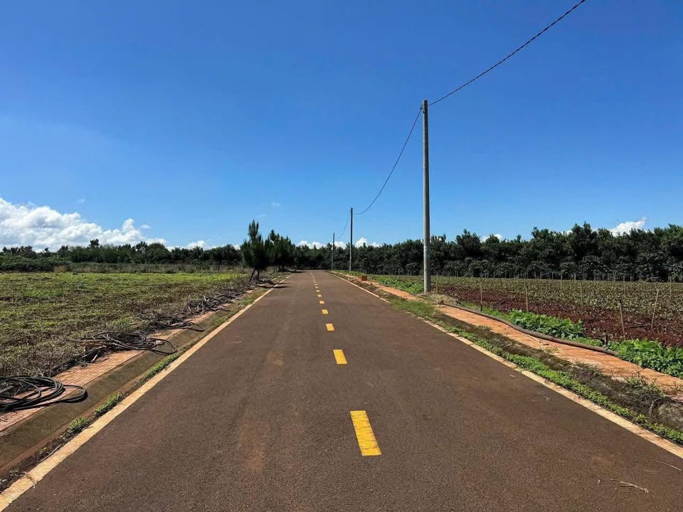 Đất nền Liên Hiệp, Đức Trọng 100m² giá 800 triệu - Cơ hội đầu tư tuyệt vời!