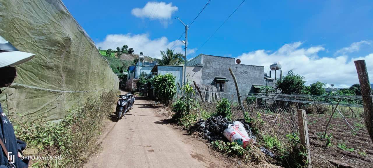 Đất nền xã Quảng Lập, Đơn Dương 1426m² giá 1.85 tỷ - Sổ hồng riêng, vị trí thuận lợi!