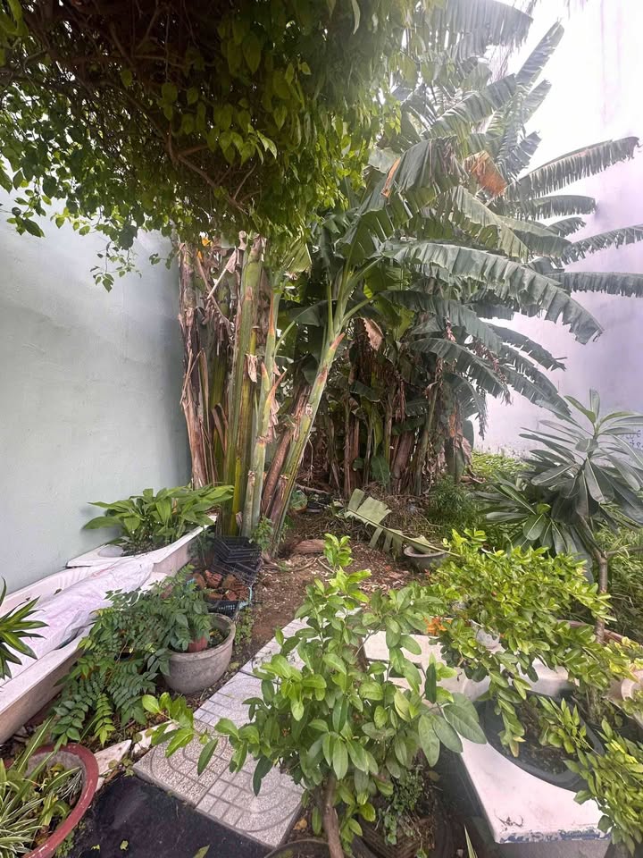 Đất nền KDC Lê Bôi, Phường 7, Quận 8, 82m² - Sổ hồng riêng, giá tốt!