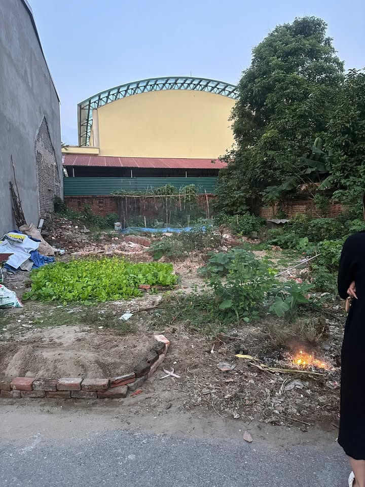 Đất nền Hương Nộn, Tam Nông 193m² giá 1 tỷ - Đầu tư sinh lời cao!